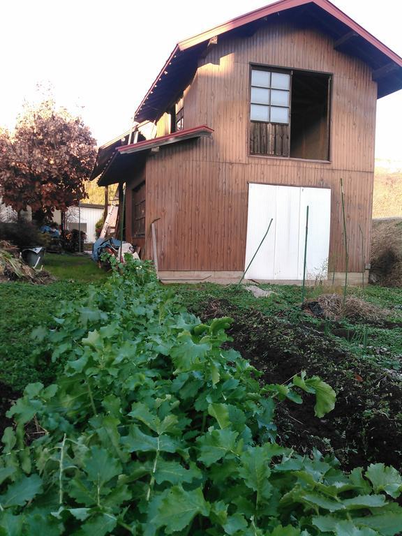Madarao Farm Villa Nakano  Exteriör bild