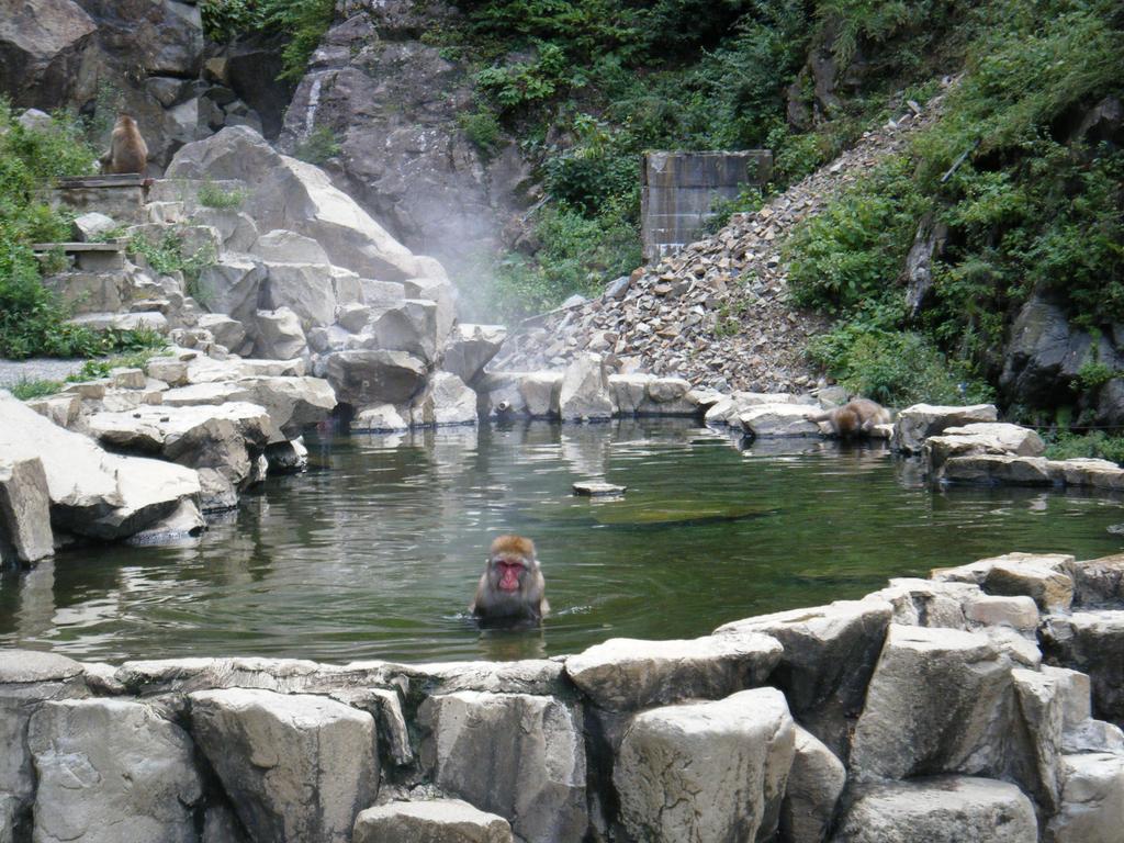 Madarao Farm Villa Nakano  Exteriör bild
